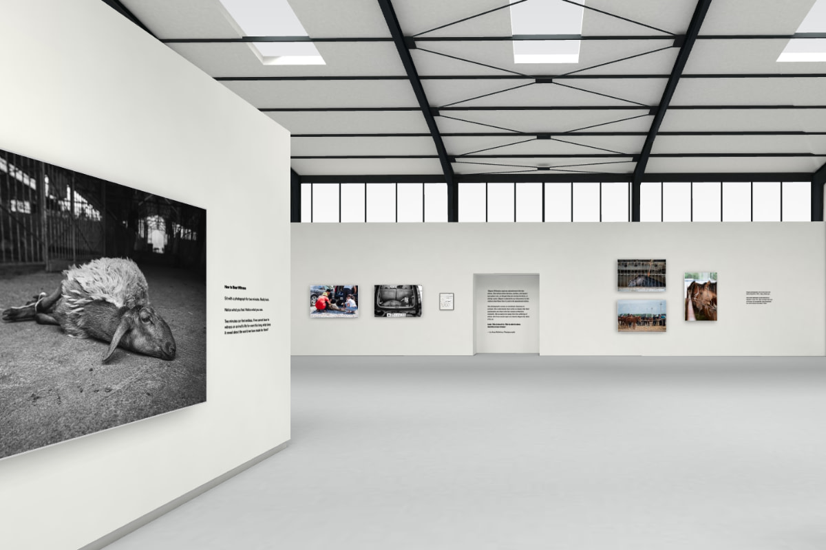 The Unseen Animals of Central Asia: A Photography Exhibit by Bogna Wiltowska