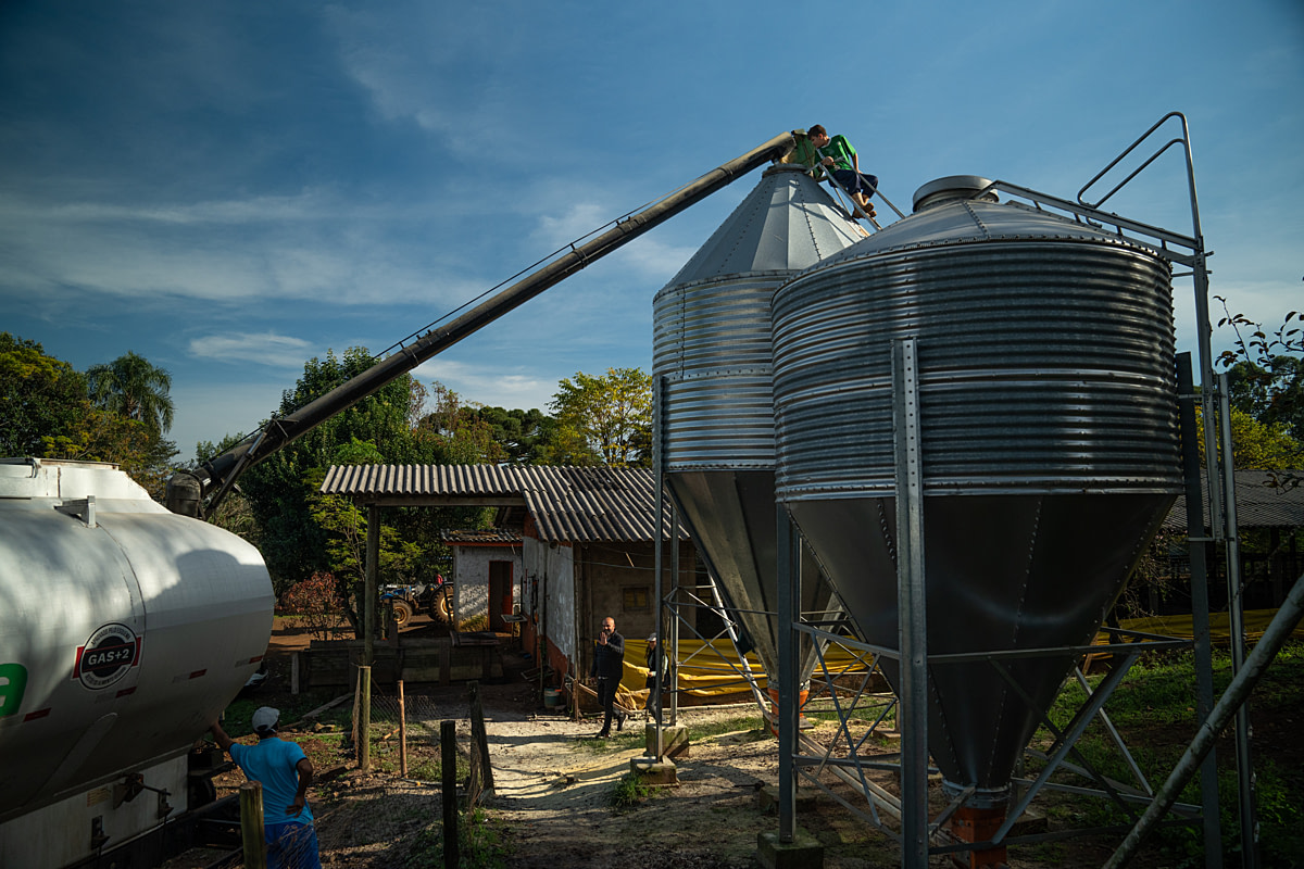 Animal feed is transferred to storage silos from a delivery truck at a pig fattening farm. Undisclosed location, Santa Catarina, Brazil, 2024. Vincenzo Ricci / World Animal Protection / We Animals
