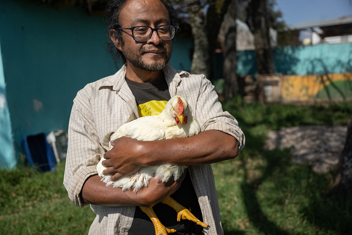 Huerto Vida Digna sanctuary founder Victor Bernal cradles Jo, a hen newly rescued from slaughter by CDMX Animal Save. Huerto Vita Digna Sanctuary, Mexico, 2025. Jo-Anne McArthur / Te Protejo / We Animals