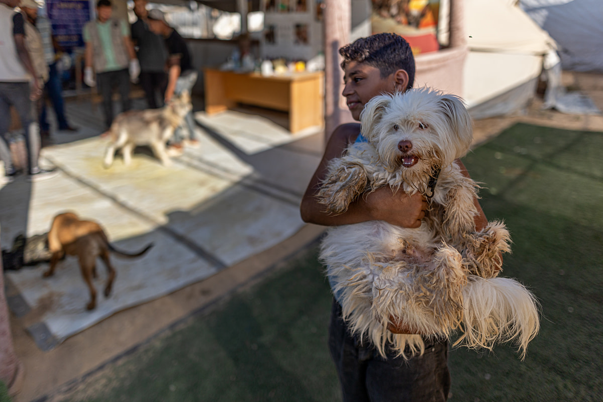 A boy smiles as he carries his dog to a Sulala Animal Rescue pop-up clinic at a refugee camp. Gaza Strip, State of Palestine, 2024. Mahmoud Abu Hamda / Sanctuary Doc / We Animals