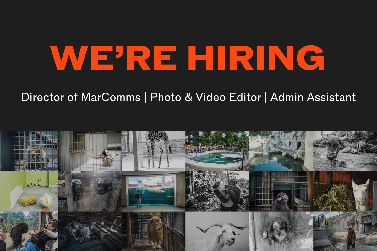 Kairos Event, London UK