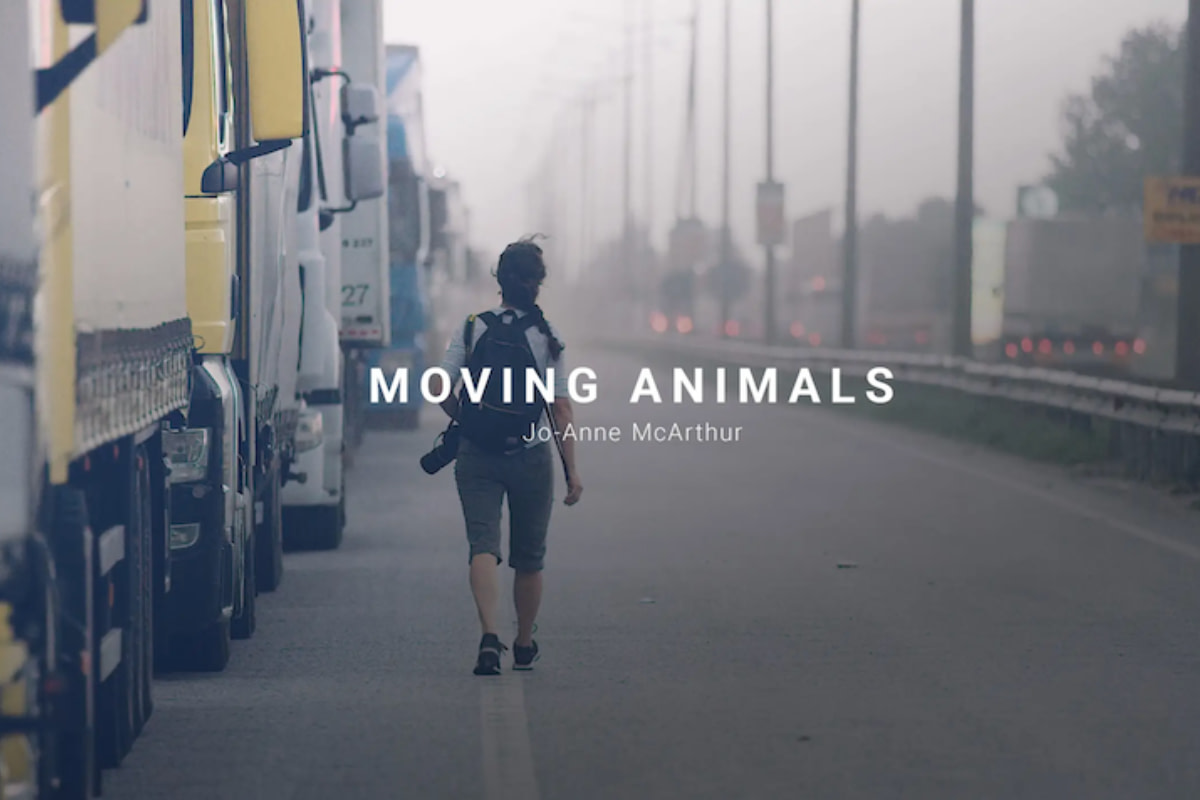 Moving Animals