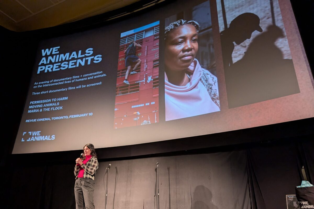 PXL_20260210_234624285.MP Kairos Event, London UK