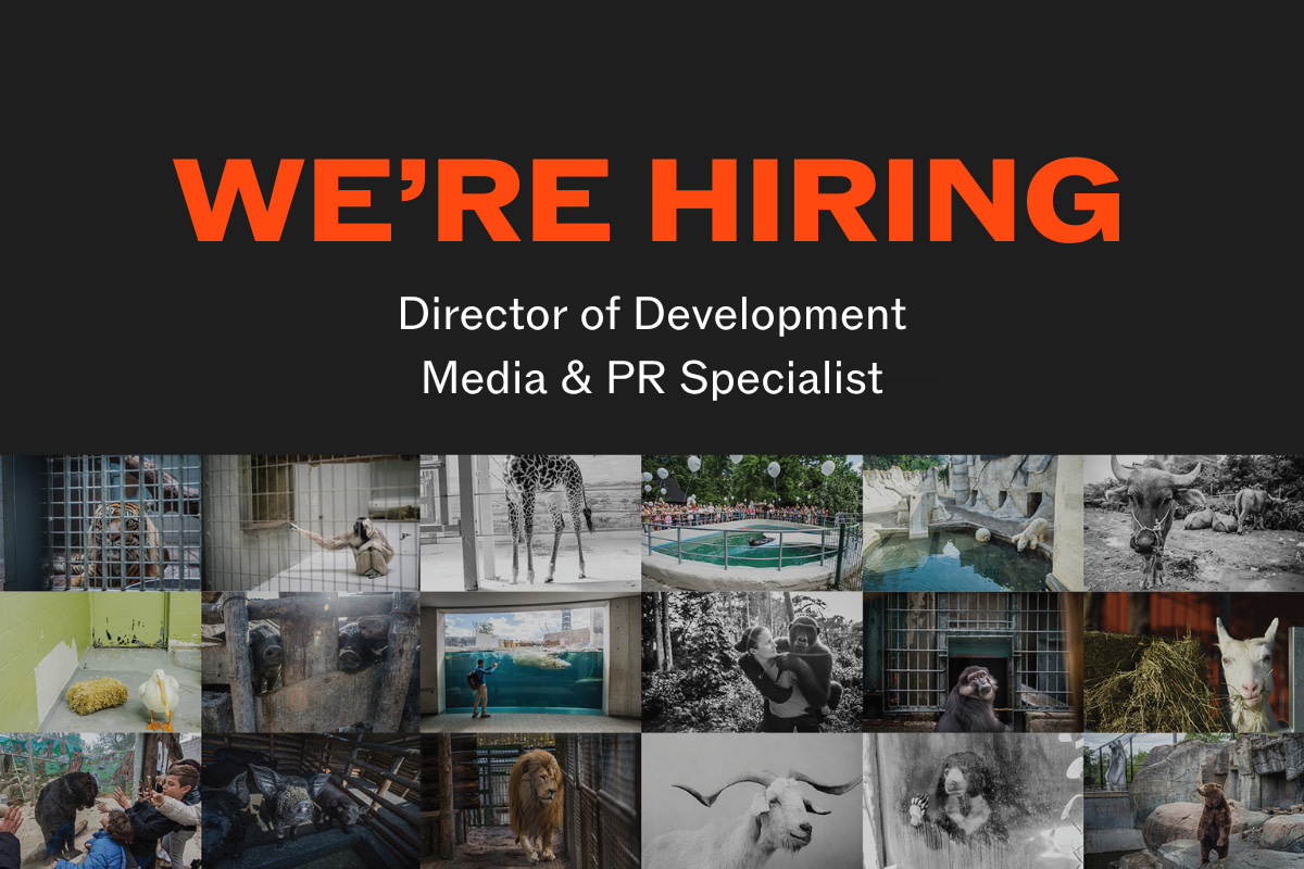 Media & PR Specialist Media & PR Specialist