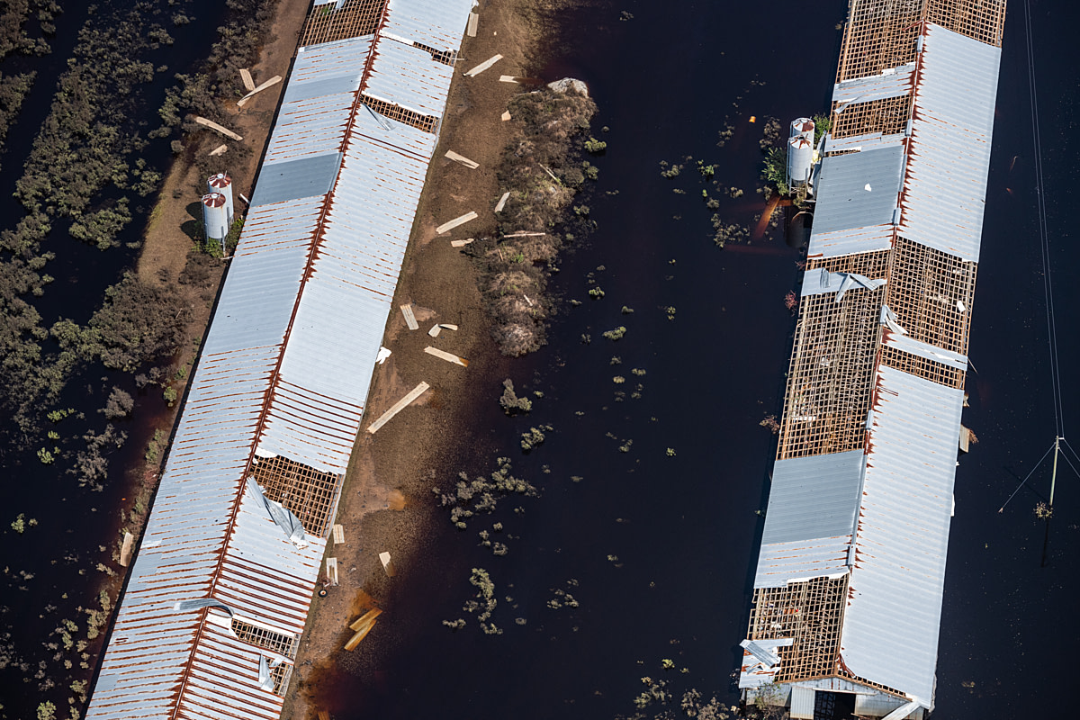 Aerial view of a CAFO farm surrounded by flood waters in Duplin County. Duplin County, North Carolina, USA, 2018. Jo-Anne McArthur / We Animals