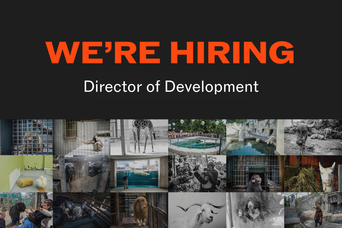 Media & PR Specialist
