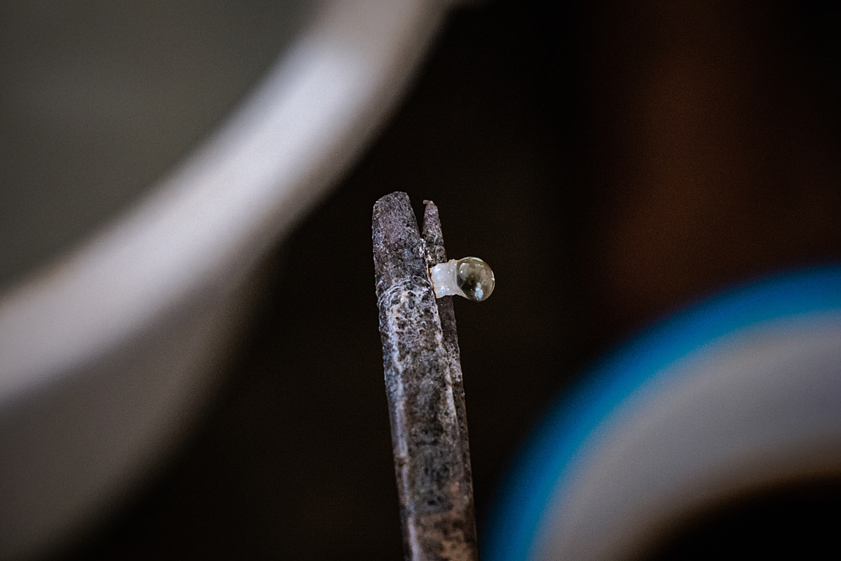 A female broodstock shrimp's severed eyestalk sits in the pair of scissors used to cut it from her body during the ablation process at a shrimp hatchery. Undisclosed location, East Java, Indonesia, 2026. Ulet Ifansasti / Animal Welfare Observatory / We Animals