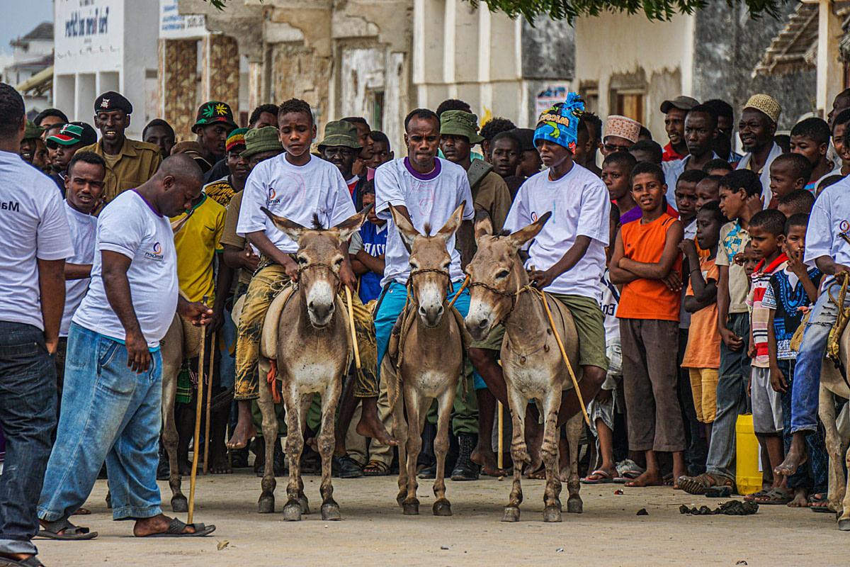 Several contestants riding donkeys line up at the starting line of an annual donkey race in Lamu, Kenya. The city of Lamu is very old, with narrow streets and no cars, making the use of donkeys part of daily life for the city's people. Lamu, Lamu County, Kenya, 2016. Evan Price / We Animals