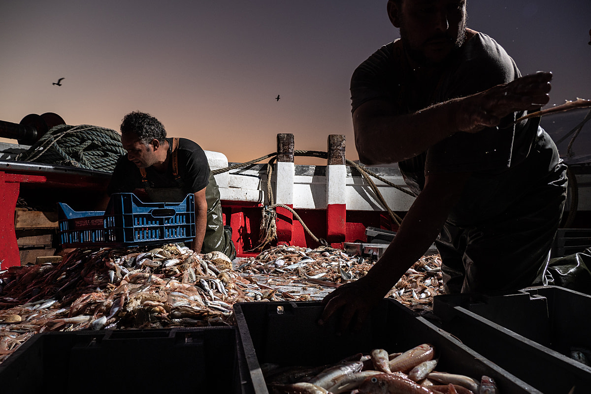 Workers onboard the fishing boat Fasilis sort the catch by type, dividing it between fish with commercial value and useless by-catch. Greece, 2020. Selene Magnolia / We Animals