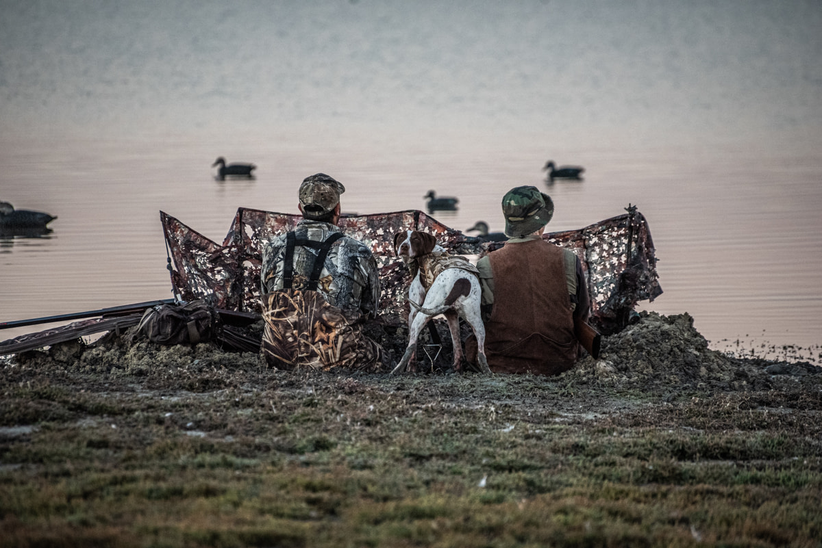 The silence before the killing commences. This dog will intently watch for ducks that fall from the sky and be rewarded for retrieving the bodies for his master.
