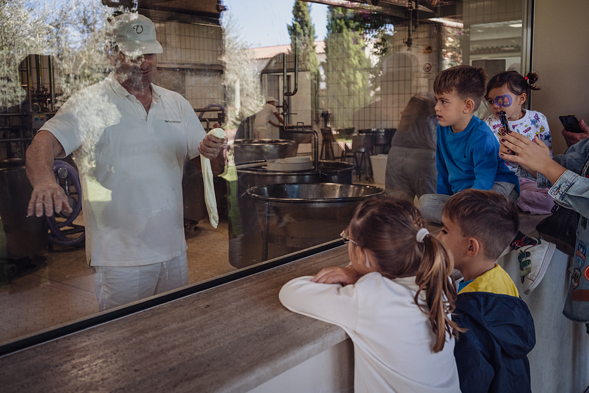 Tourists, including children, watch through glass as cheesemakers prepare buffalo mozzarella braids at an intensive water buffalo dairy farm. Water buffalo milk production has become a tourist attraction, with hundreds visiting this farm daily to buy mozzarella and other dairy products. These dairies offer guided tours where visitors can observe cheesemakers at work through large windows. Vannulo Buffalo Dairy Farm, Capaccio Paestum, Salerno, Italy, 2024. Raffaele Petralla / We Animals