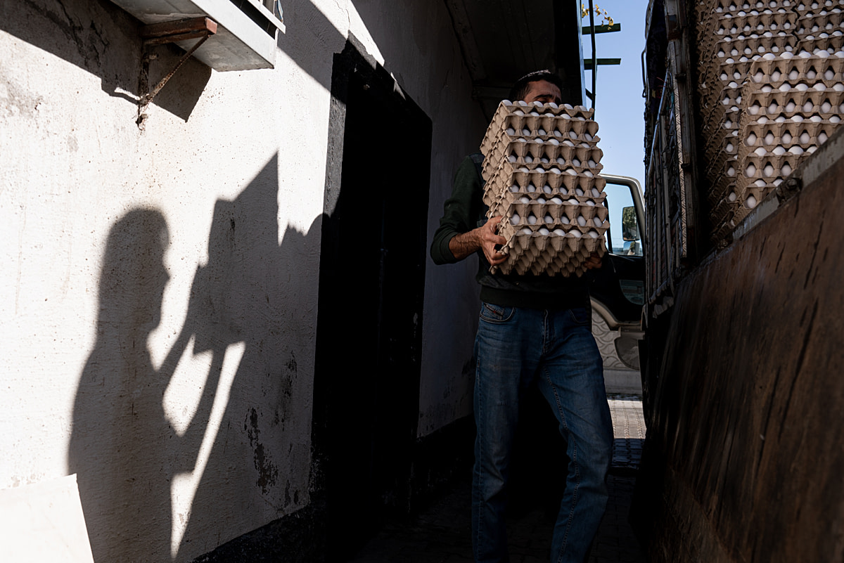 Workers on an industrial egg farm load eggs stacked in cardboard trays onto a customer's truck. Konya, Konya Province, Central Anatolia Region, Turkiye, 2023. Havva Zorlu / Open Wing Alliance / We Animals