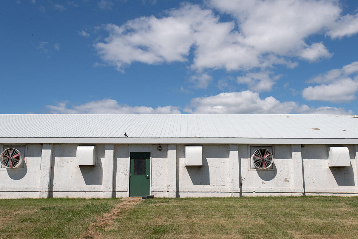 The Correctional Service of Canada intended to use this former chicken barn to house hundreds of goat kids to seed an industrial goat dairy operation at Joyceville Institution. Since the controversial goat program was paused in 2021, the barn sits empty and unused. Collins Bay Institution, Kingston, Ontario, Canada, 2025. Jo-Anne McArthur / We Animals The Correctional Service of Canada intended to use this former chicken barn to house hundreds of goat kids to seed an industrial goat dairy operation at Joyceville Institution. Since the controversial goat program was paused in 2021, the barn sits empty and unused. Collins Bay Institution, Kingston, Ontario, Canada, 2025. Jo-Anne McArthur / We Animals