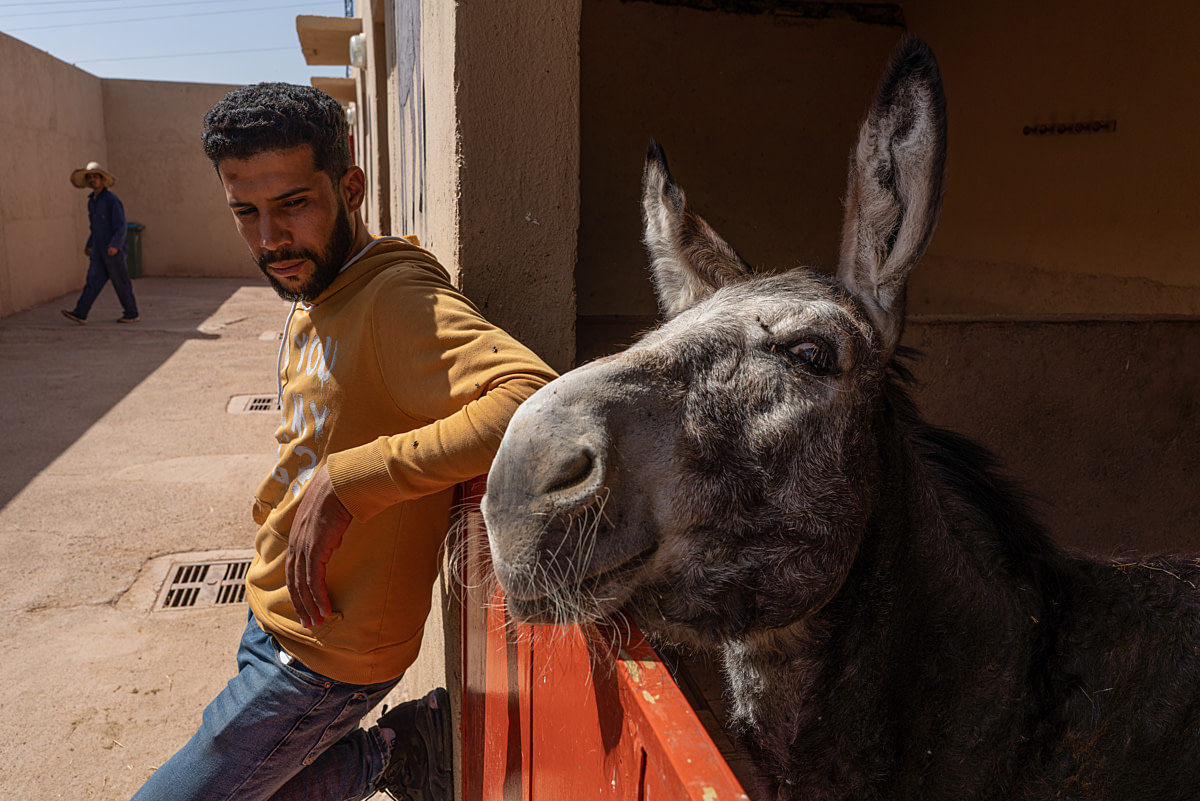 Manager Ayoub Halgan and a donkey at Jarjeer Refuge, a sanctuary for donkeys, mules and horses. Oumnass, Morocco. Jarjeer Mule and Donkey Refuge, Oumnass, Morocco, 2021. Thomas Machowicz / We Animals