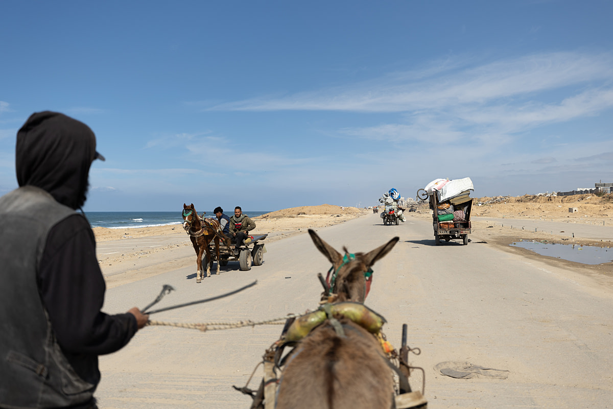 Younis Al-Tallaa drives his donkey on foot along a coastal road. Other carts loaded with people's belongings travel ahead of them and a horse-drawn cart passes by. Younis and his family were also displaced from a refugee camp after their home was destroyed in the Gaza war. The pair work daily transporting other displaced people, with Younis taking special care of the donkey who serves as his only source of livelihood. Undisclosed location, Gaza Strip, State of Palestine, 2025. Mahmoud Abu Hamda / Sanctuary Doc / We Animals
