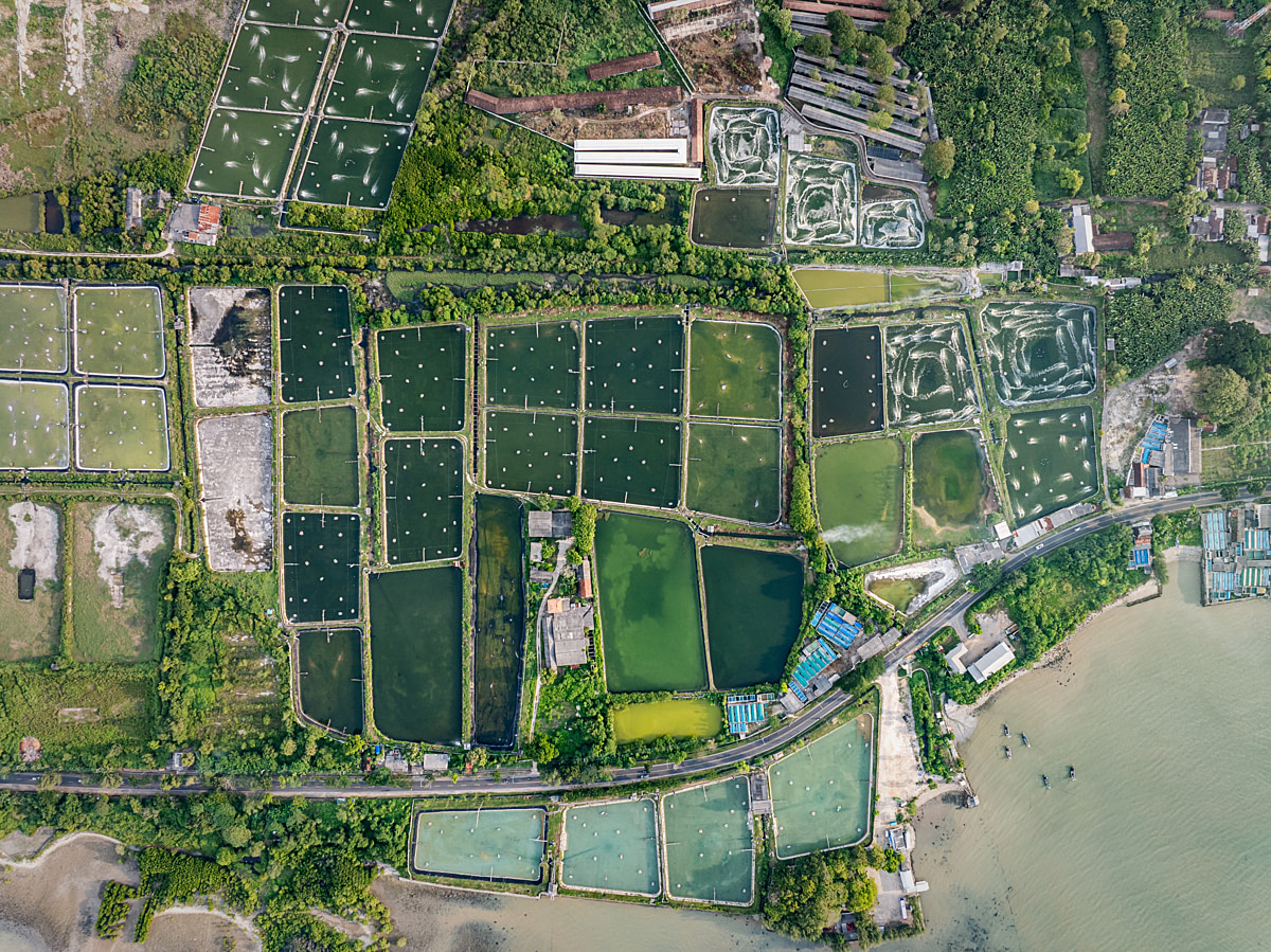 Numerous murky rearing ponds, some with water aerators, and other infrastructure at a large-scale coastal shrimp farm. Undisclosed location, East Java, Indonesia, 2026. Ulet Ifansasti / Animal Welfare Observatory / We Animals