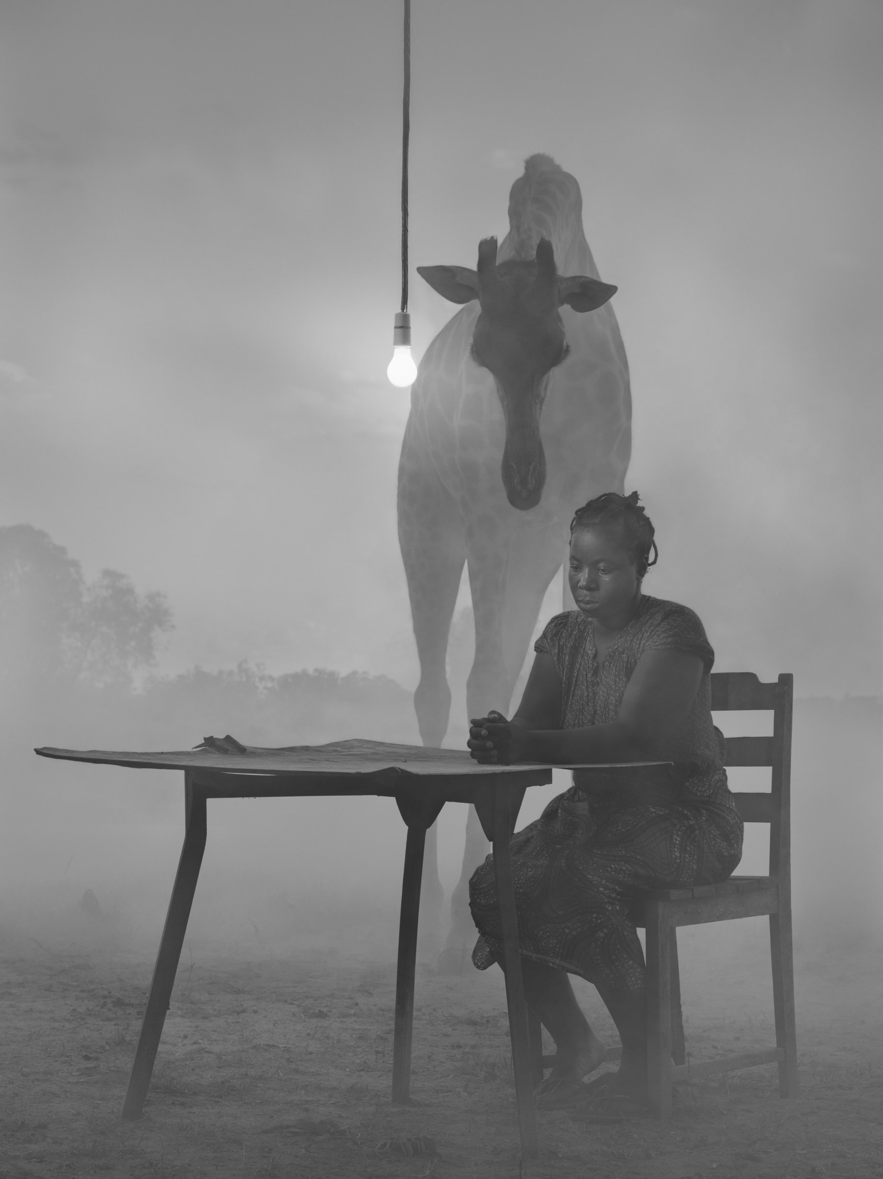 Kuda and Sky, Zimbabwe, 2020. © Nick Brandt