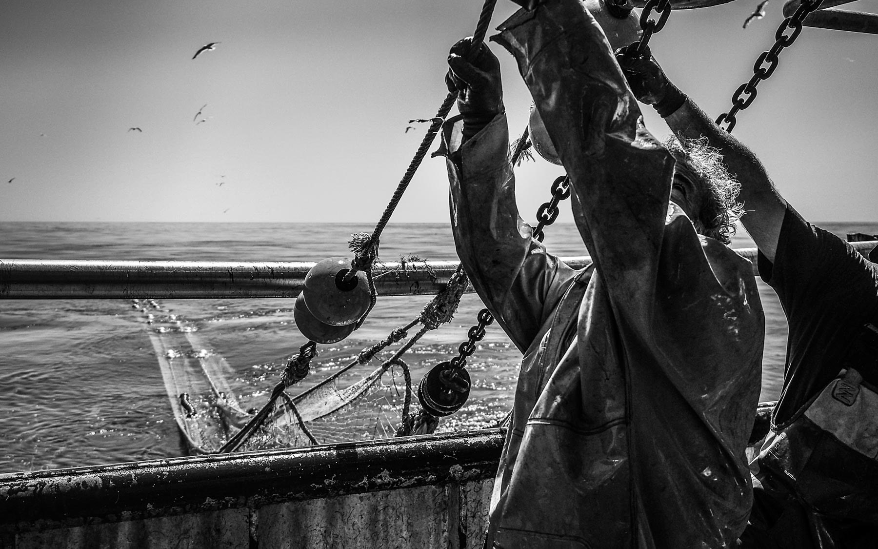 Sweeper at the beach in Canada. Photo credit: Cindy Hughes.