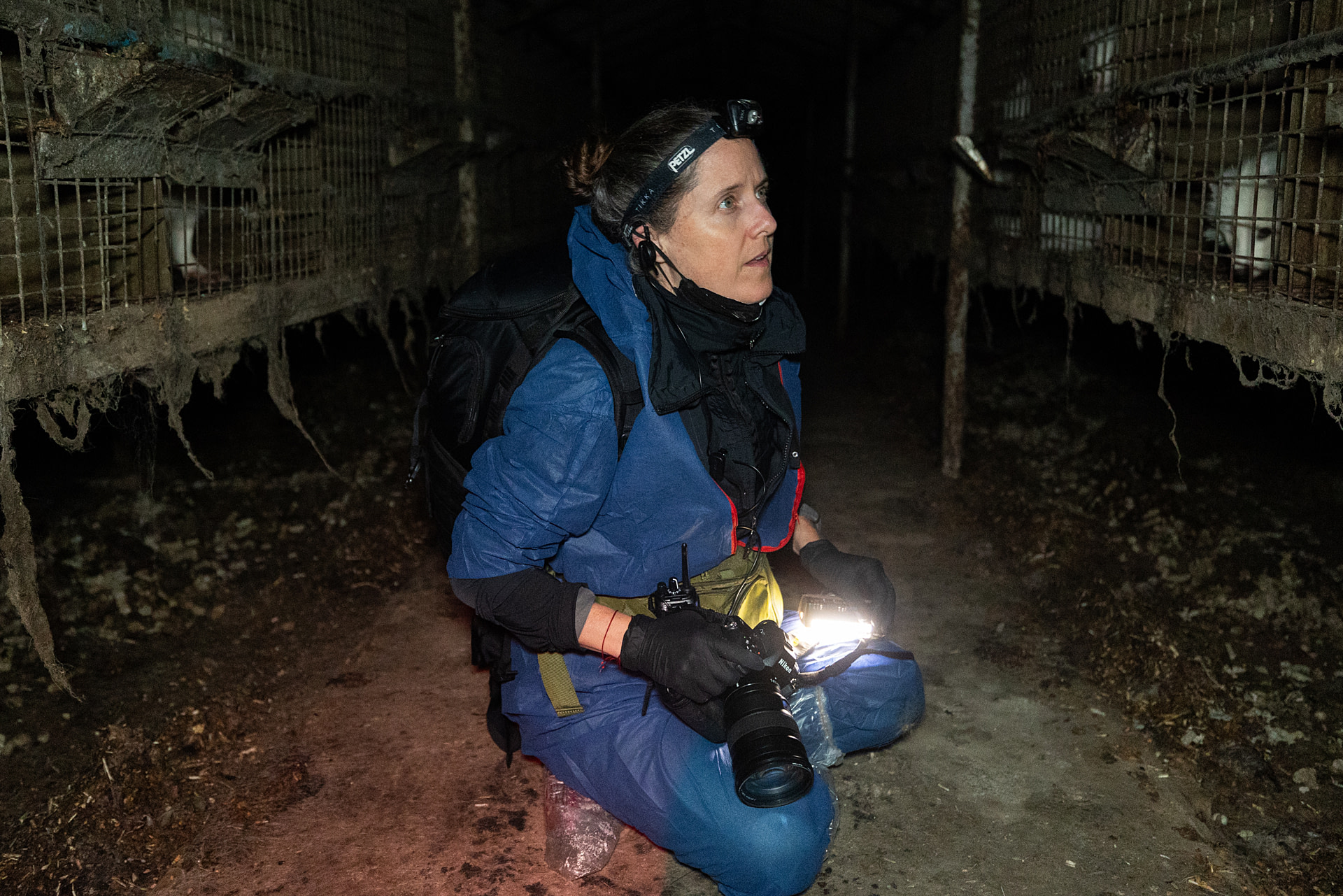 Photojournalist Jo-Anne McArthur sits between rows of dirty cages confining raccoon dogs at a large fur farm during a nighttime investigation with Anima International. The wire-bottom enclosures house the animals above accumulated waste. Many animals show injuries, infections, blindness and foot deformities, while some pace and others lie motionless. Poland, 2024. Andrew Skowron / We Animals