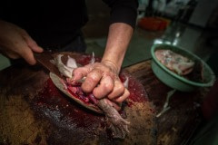 A live turtle having its shell cut off. Taiwan, 2019.