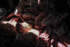 Meat market. Vietnam, 2008.