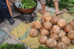 Tethered duck for sale. Laos, 2008.