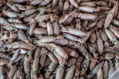 Squid on display for sale at a wet market in Taipei. Taiwan, 2019.