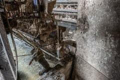 Egg-laying ducks are kept two to three per cage without access to bathing water at this industrial farm in Taiwan.