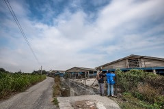 Investigators document conditions at an industrial duck egg farm in Taiwan.