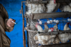 An egg farmer inside a barn. Taiwan, 2019.
