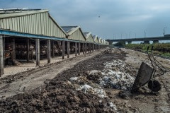 Egg farming. Taiwan, 2019.