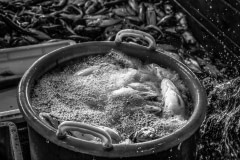 Fish are pulled up from the sea and dumped from trawling nets onto the deck of a fishing vessel. Workers then sort the fish by species. Photos taken on assignment for Ecostorm / Compassion In World Farming.