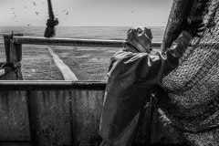 Workers aboard a trawler reel in nets loaded with target fish and bycatch after a few hours of fishing in the French Mediterranean Sea. Photos taken on assignment for Ecostorm / Compassion In World Farming.