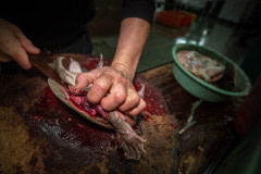A worker cuts off a shell while turtle is still alive at a market in Taiwan.