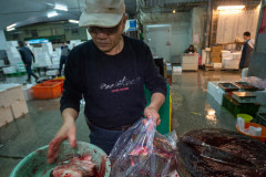 Worker bags live turtles after cutting their shells off at a market in Taiwan.