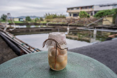 Turtle eggs at a turtle farm. Taiwan, 2019.