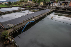 A turtle farm.