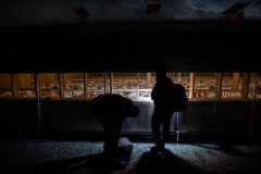 Investigators and filmmakers enter a turkey farm to document the animals and the conditions.