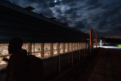 An investigator outside of a turkey shed on a brightly moonlit night.