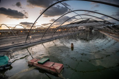 FishFarm_Israel_JMcArthur_20180629-3495-1920px