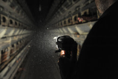 Documenting conditions in an egg-laying barn.