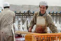 RabbitSlaughterhouse_Spain_JMcArthur_20130411-4841-1920px