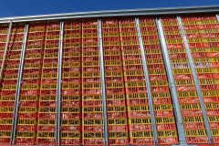 Chickens in a transport truck on their way to slaughter. Canada, 2015.