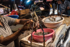 A vendor is seen displaying a lobster from his shop. Crustaceans like these are usually in demand for special occasions and festivals. India, 2021. S. Chakrabarti / We Animals
