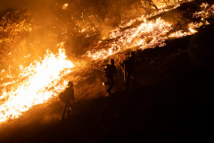 Wildland Firefighter crews work throughout the night as they backburn areas of the Caldor Fire to prevent further spread.