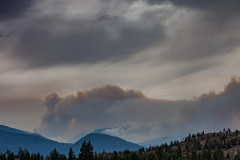 The southeastern edge of the White Rock Lake wildfire.