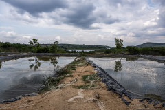 Two of three artificial ponds on a small farm. The farm's three ponds contain roughly 3,750 bream fish, and the farm slaughters them when the fish reach six months of age. The fish do not come to the pond's surface very much at this time of day.