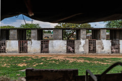 On a large industrial farm, rows of pigs kept in bare concrete pens behind makeshift metal gates are visible from another similar barn on the same farm.