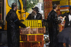 Hasidic Jewish men converse next to an open crate of chickens in front of transport trucks. USA, 2022. Molly Condit / We Animals