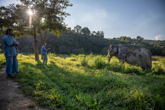 John Roberts, Director of Elephants & Conservation at the Golden Triangle Asian Elephant Foundation, conducts one of his daily Lockdown Live Streams during the COVID-19 pandemic. Roberts has used these livestreams to maintain interest in and financial support for elephants and their mahouts.